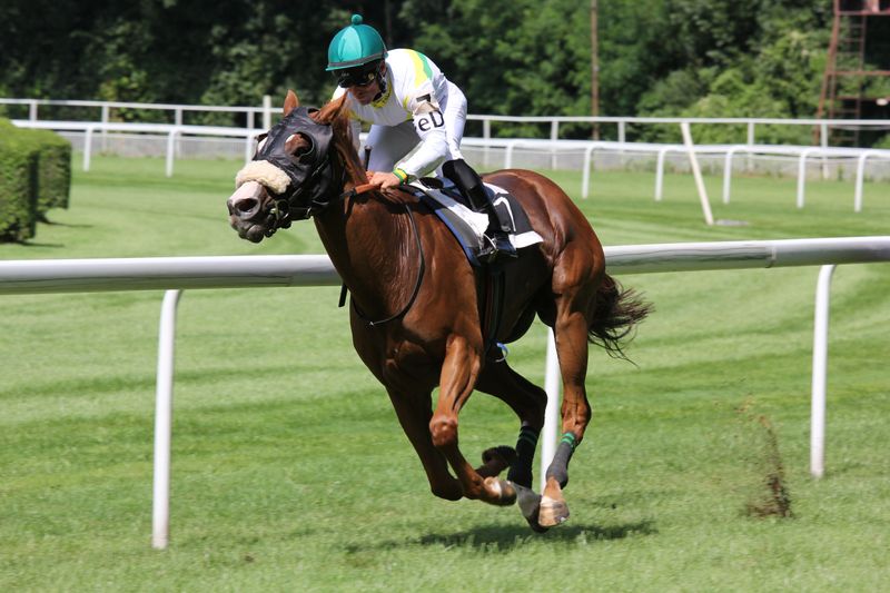 モズメイメイが圧勝！競馬の葵ステークスを制す競馬,モズメイメイ,葵ステークス,圧勝