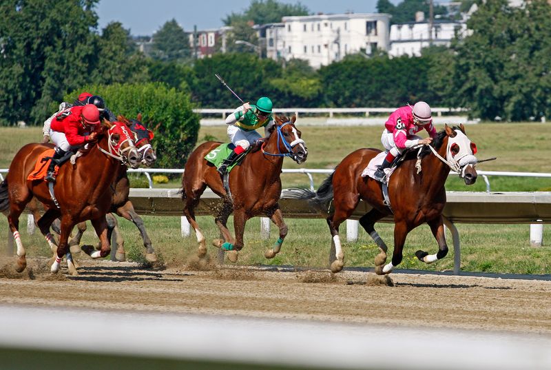 【競馬】オークスの注目ポイント：今年はどの馬が頂点を極めるのか？競馬,オークス,注目ポイント,頂点,馬