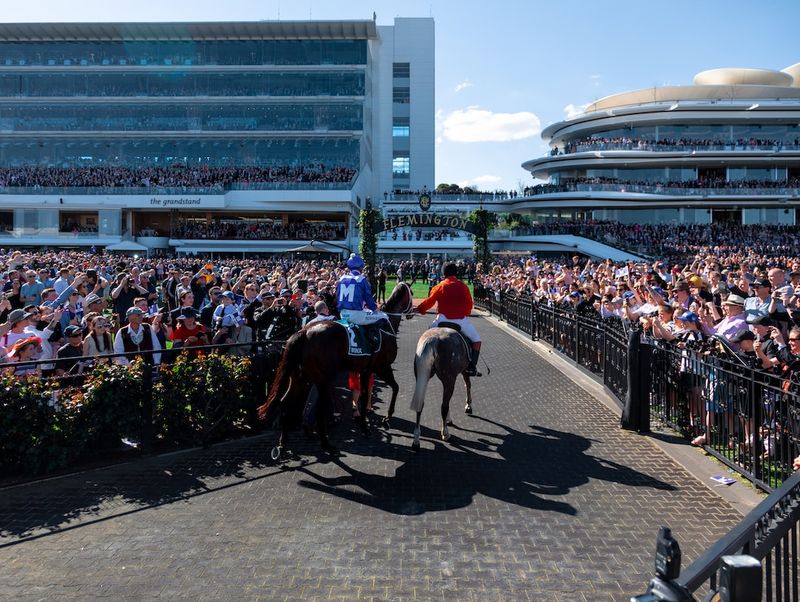 【緊張のタスティエーラ】難航する日本ダービーを勝ち抜く！horseracing,JapanDerby,Tastier,nervousness,victory