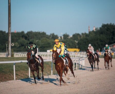 競馬界に衝撃を与えたサトノグランツ！神戸新聞杯で見せた凄さとは？競馬,サトノグランツ,神戸新聞杯,衝撃,凄さ